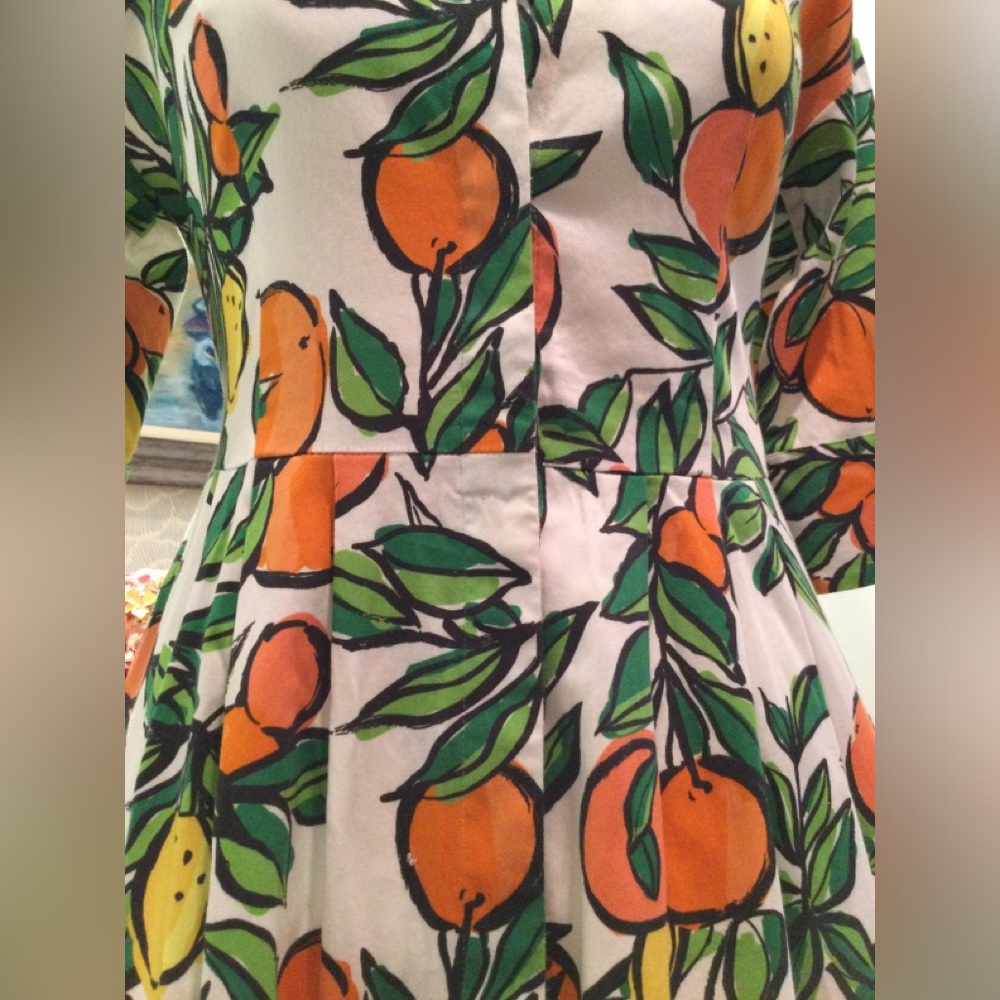 PRICE DROP! Gorgeous Citrus Print Dress w pockets - Picture 7 of 16